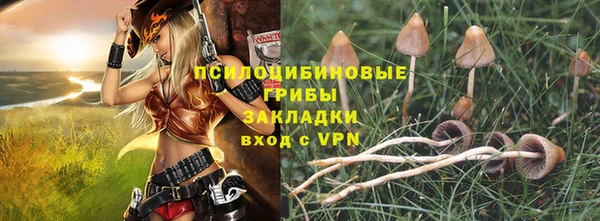 скорость Белокуриха